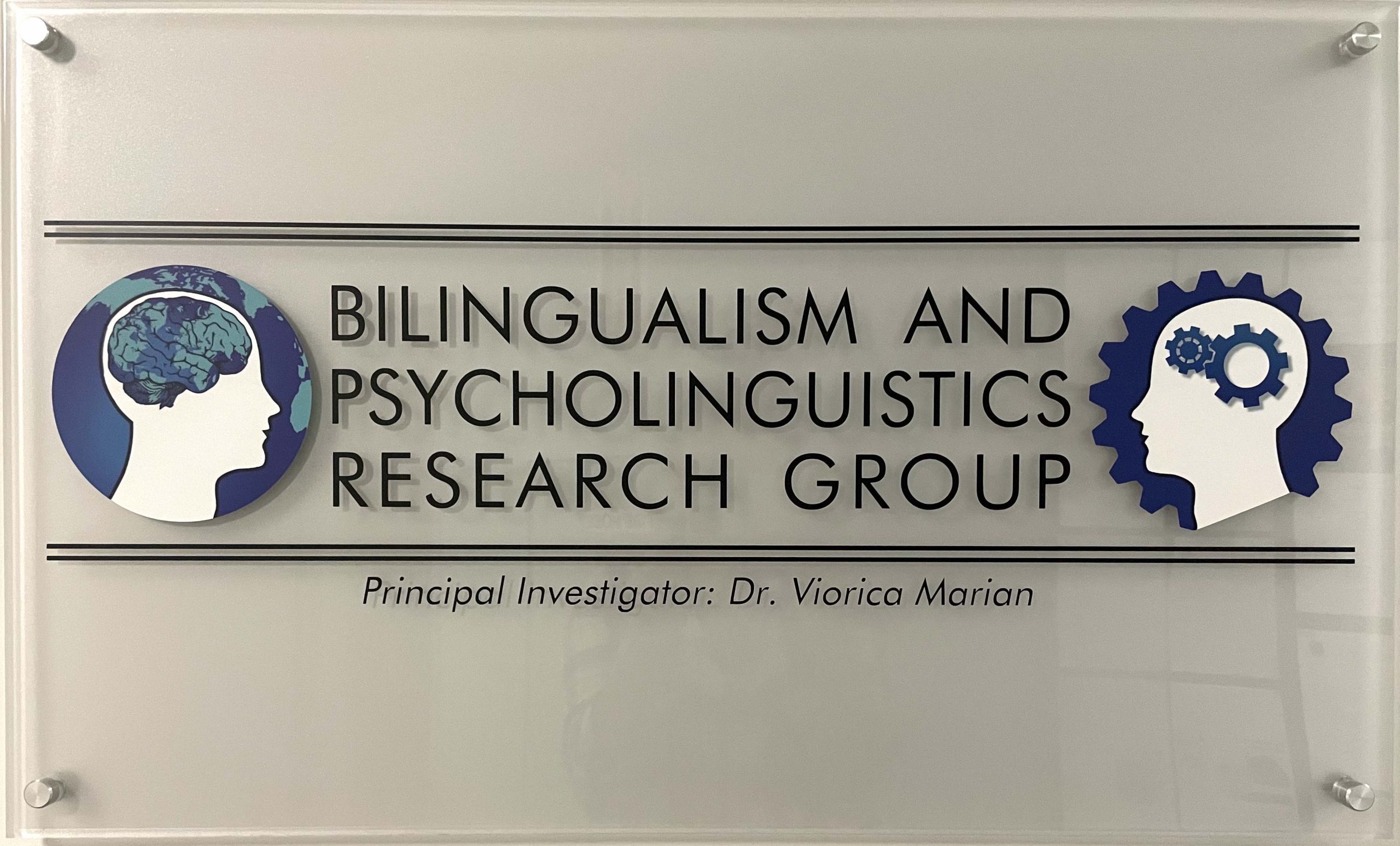 Bilingualism and Psycholinguistics Research Group