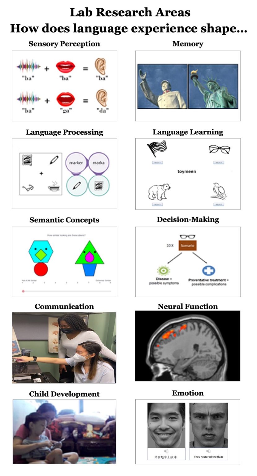 research-areas-bilingualism-and-psycholinguistics-research-laboratory